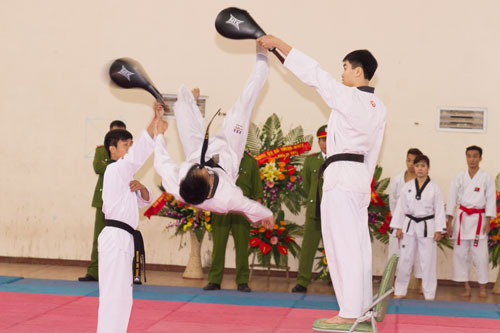 Màn biểu diễn Teakwondo